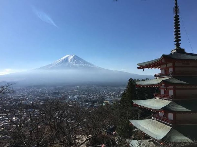 fuji